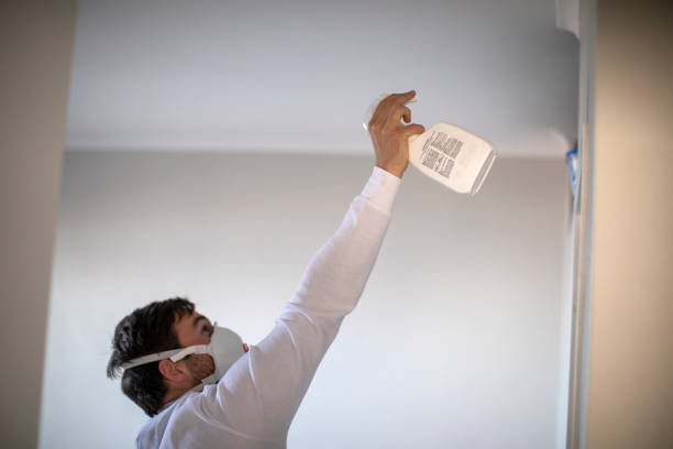 Water Damage Restoration in Rainbow Lakes Estates, FL